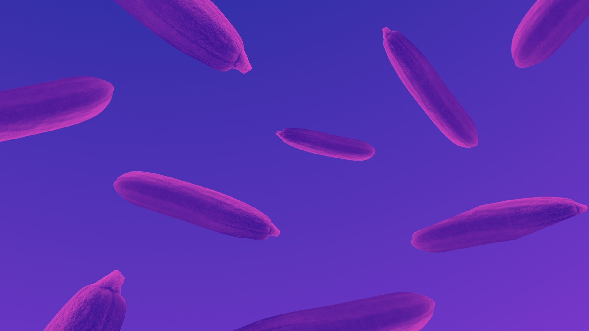 Dildos