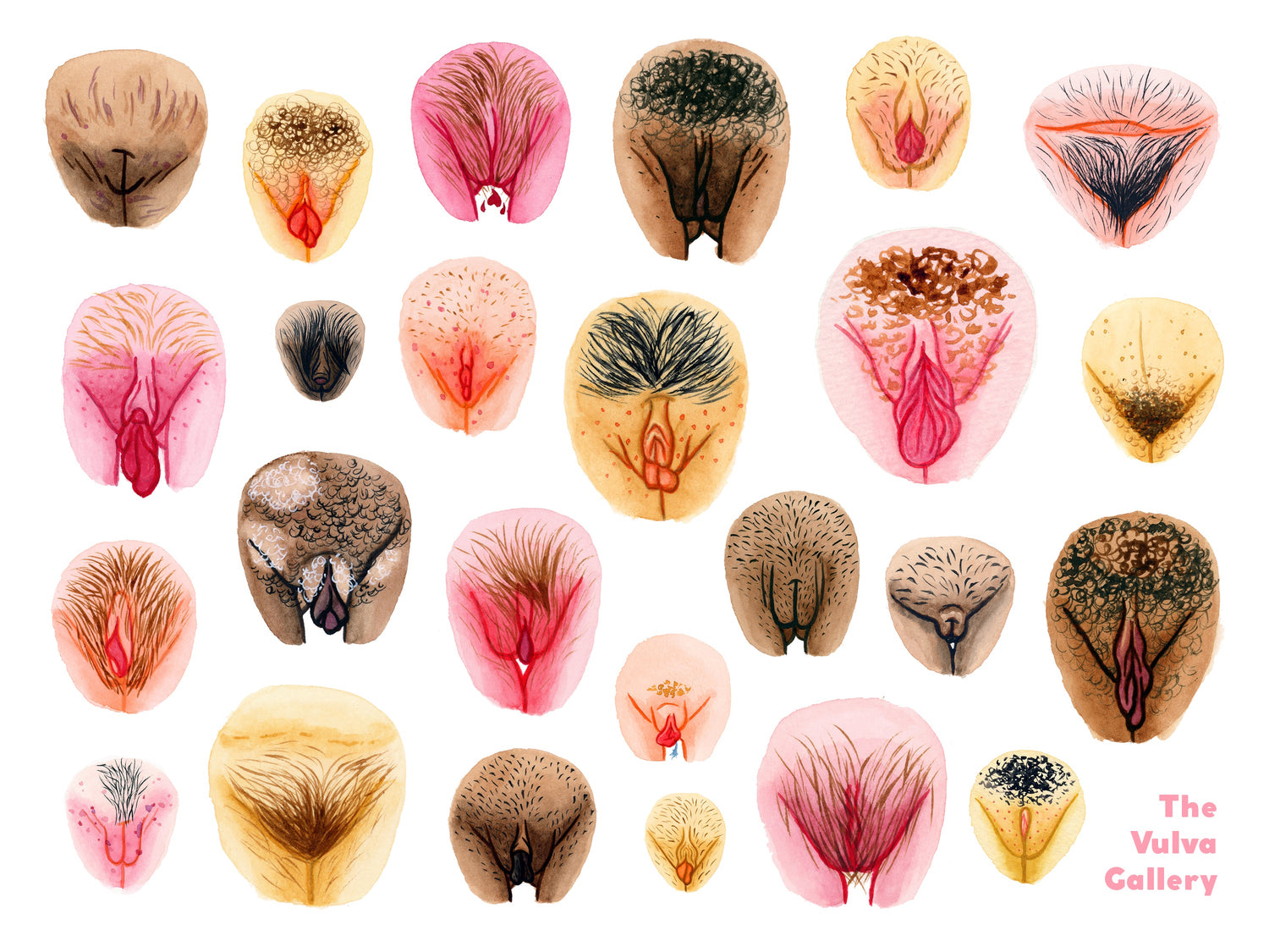 Interview de l'illustrateur.ice Sam Hil Atalanta