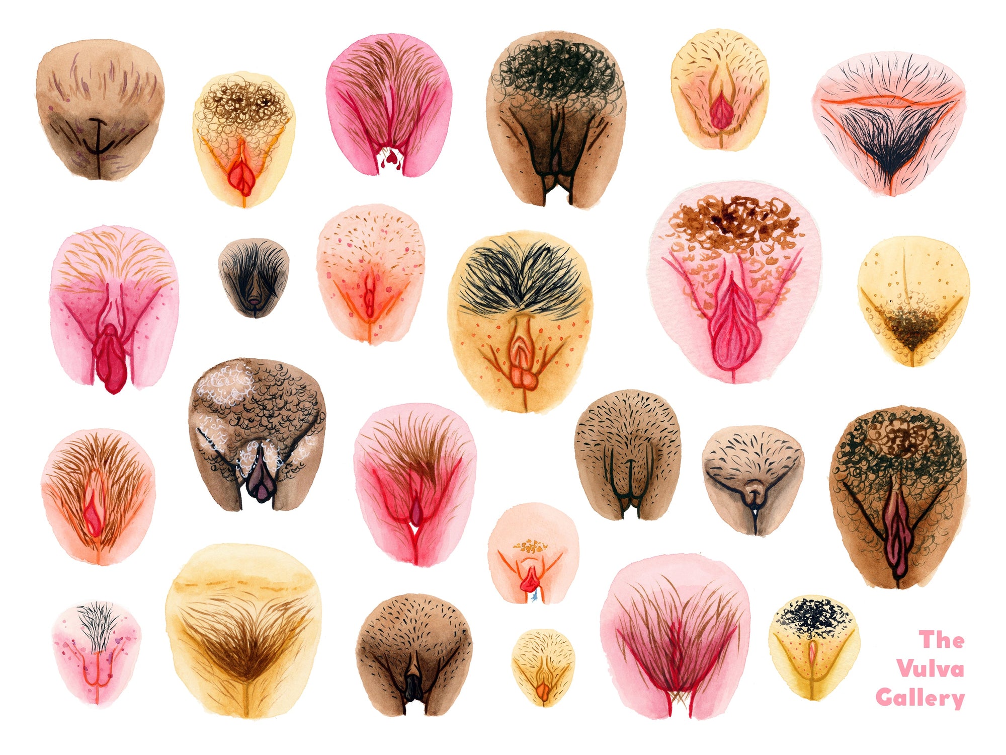 Interview de l'illustrateur.ice Sam Hil Atalanta