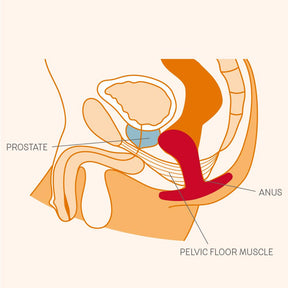 Plug anal - Bootie M - Fun Factory